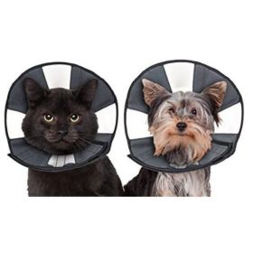 ZenPet Zen Cone Soft Recovery Collar (Option 2: 1 count, Option 1: Small)