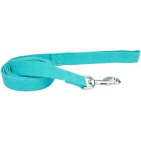 Coastal Pet New Earth Soy Dog Lead Mint Green (Option 1: 6 feet x 5/8"W)