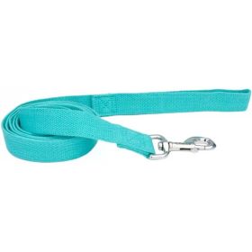 Coastal Pet New Earth Soy Dog Lead Mint Green (Option 1: 6 feet x 1"W)