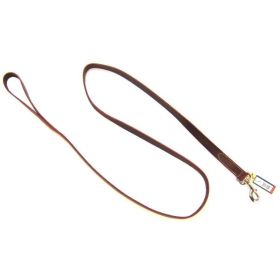 Circle T Latigo Leather Lead (Option 1: 6' Long x 1" Wide)