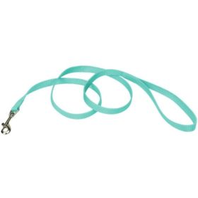 Coastal Pet Single-ply Teal Nylon Dog Lead (Option 1: 4'L x 5/8"W)